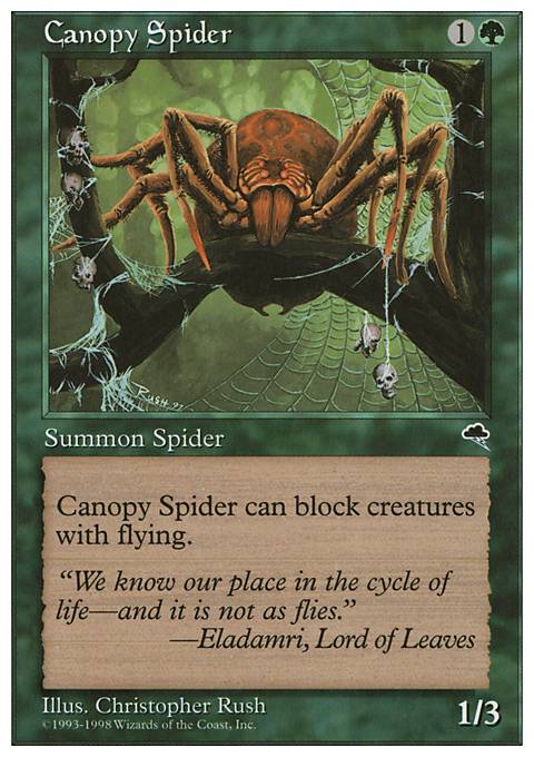 Canopy Spider