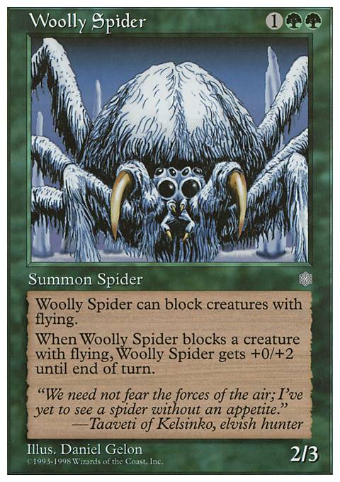 Woolly Spider