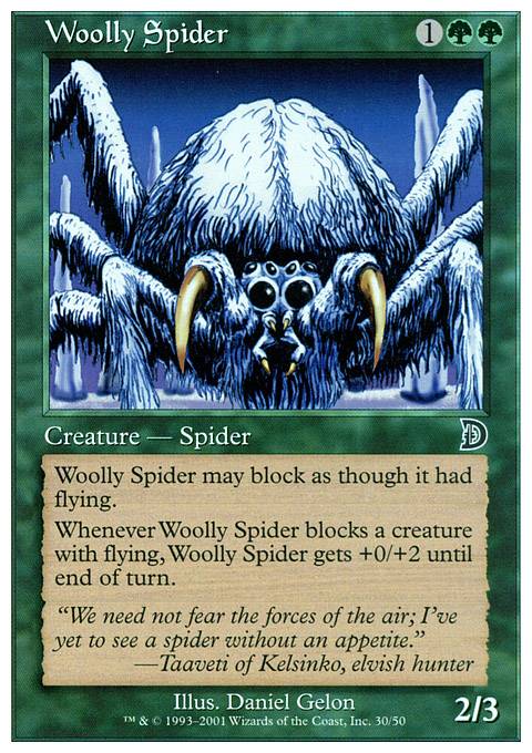 Woolly Spider