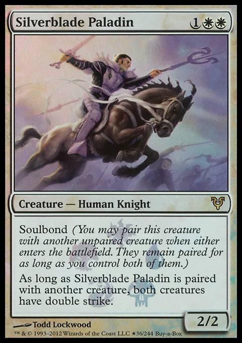 Silverblade Paladin