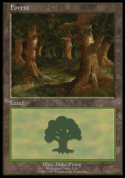 Forest