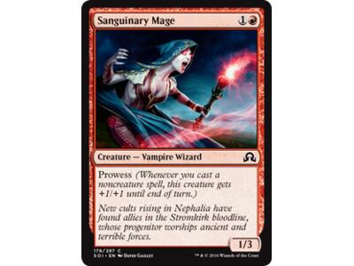 Sanguinary Mage