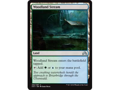Woodland Stream