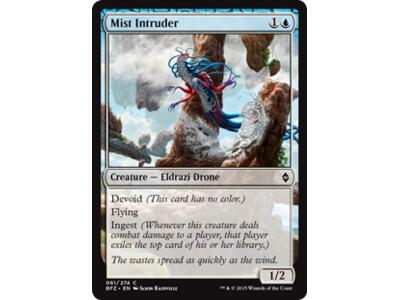 Mist Intruder