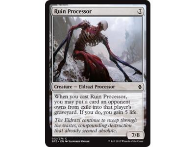 Ruin Processor