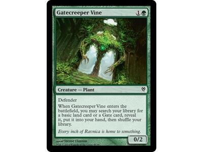 Gatecreeper Vine