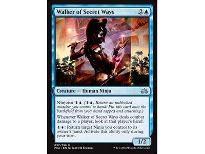 Walker of Secret Ways