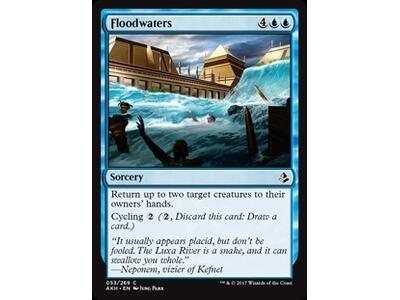 Floodwaters