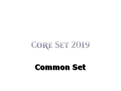 Core 2019: Common Set