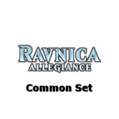 Ravnica Allegiance Common Set