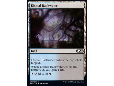 Dismal Backwater