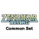Zendikar Rising COMMON Set