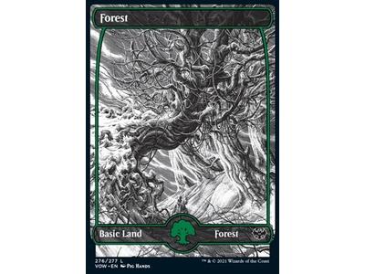 Forest (V.1)