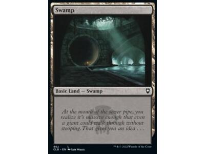 Swamp (V.4)