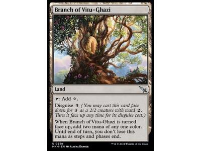 Branch of Vitu-Ghazi