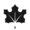 Bloomburrow