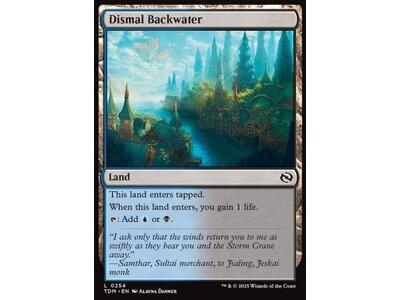 Dismal Backwater