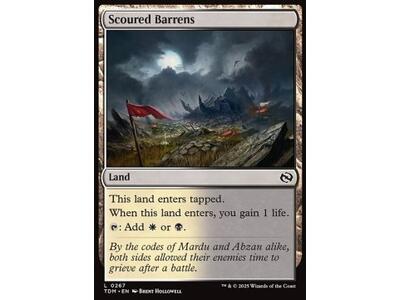 Scoured Barrens