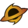 Edge of Eternities