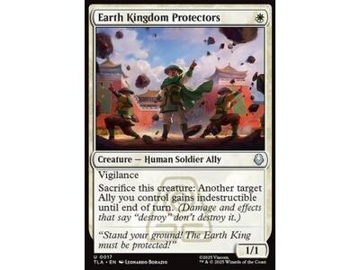 Earth Kingdom Protectors