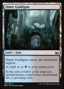 Dimir Guildgate