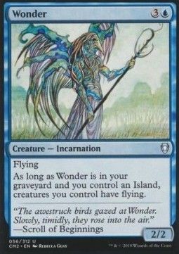 Wonder