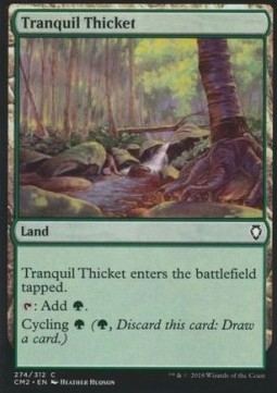 Tranquil Thicket