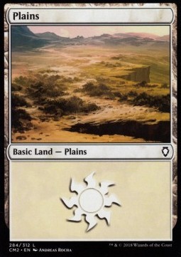 Plains #284