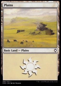 Plains #285