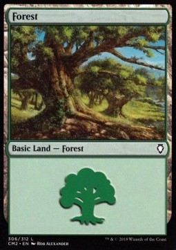 Forest #306