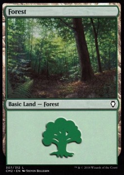 Forest #307