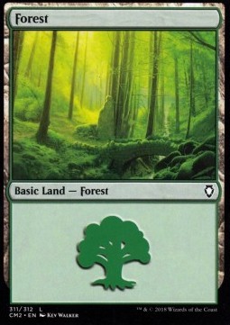 Forest #311