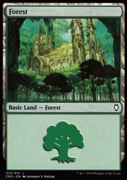 Forest #312