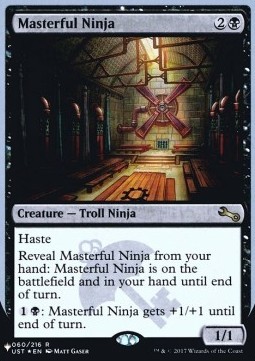 Masterful Ninja