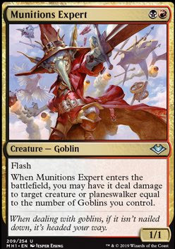 Munitions Expert
