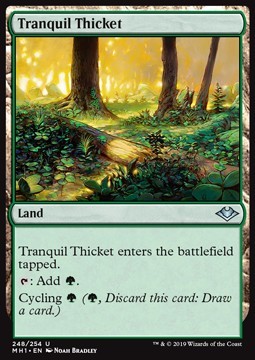 Tranquil Thicket