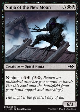 Ninja of the New Moon
