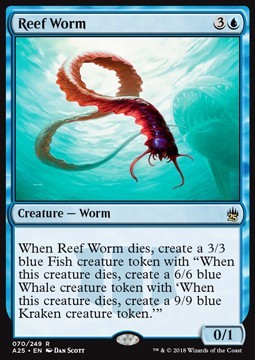 Reef Worm