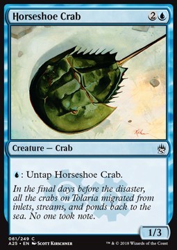 Horseshoe Crab