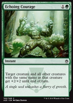 Echoing Courage