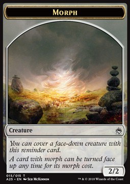 Morph Token (Colorless 2/2)