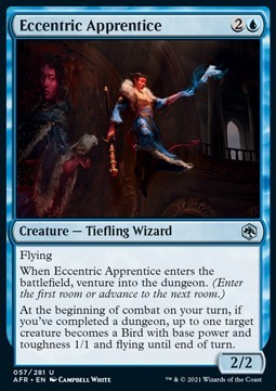 Eccentric Apprentice