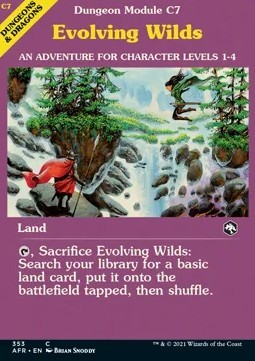 Evolving Wilds