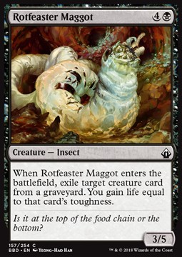 Rotfeaster Maggot
