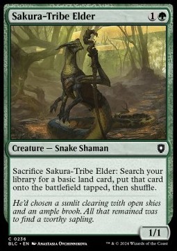 Sakura-Tribe Elder