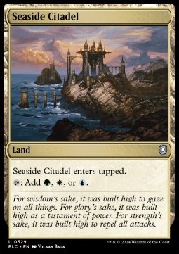 Seaside Citadel