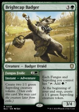 Brightcap Badger // Fungus Frolie