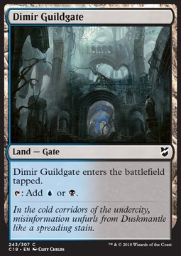 Dimir Guildgate