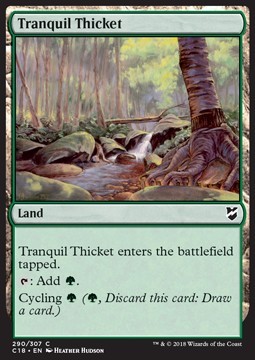 Tranquil Thicket