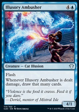 Illusory Ambusher